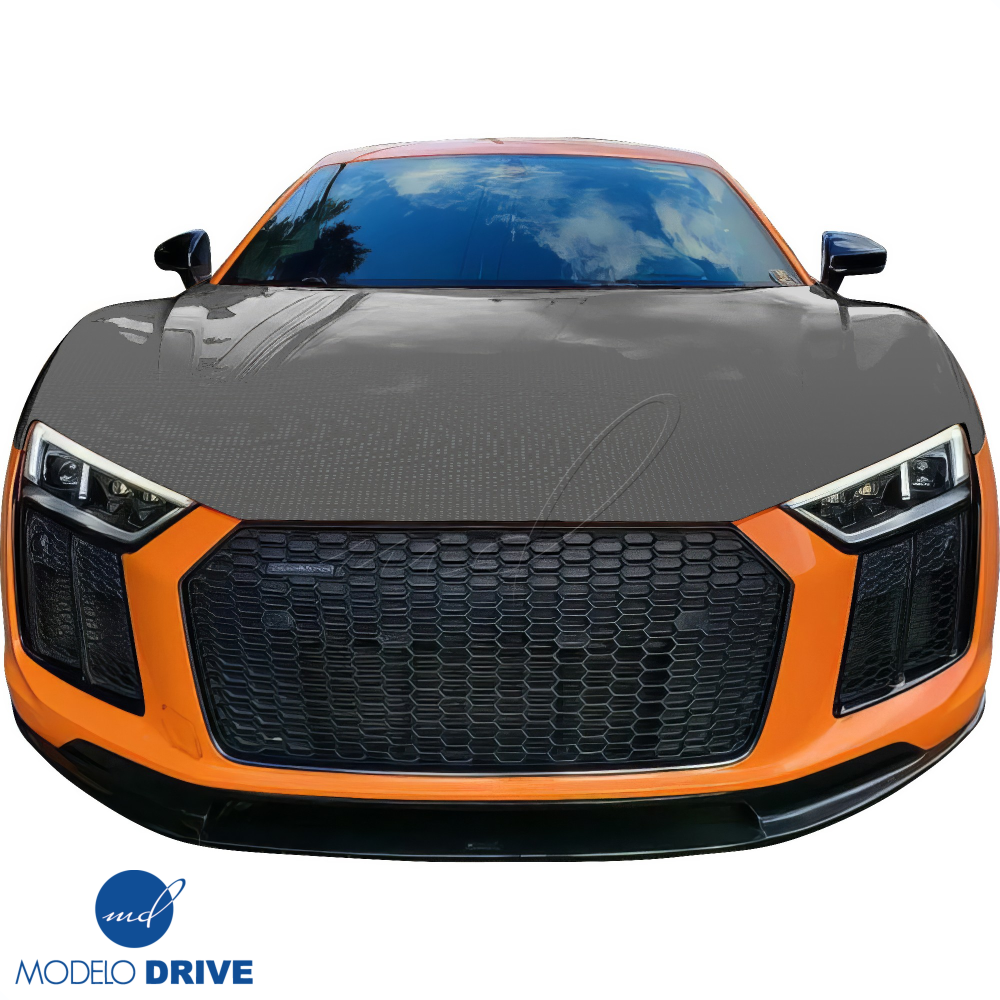 All kind of Exterior/Hoods for Audi R8 2017 - 