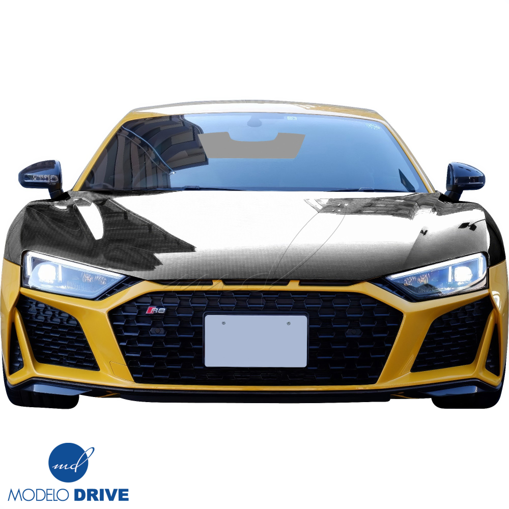 All kind of Exterior/Hoods for Audi R8 2017 - 